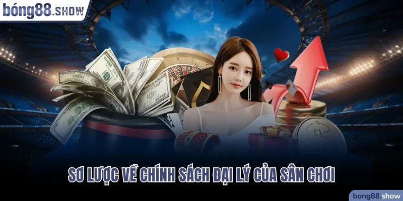 Sơ lược về chính sách đại lý của sân chơi